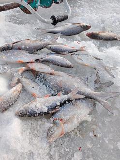 Нажмите на изображение для увеличения.

Название:	IMG_20260117_171610.jpg
Просмотров:	386
Размер:	527.8 Кб
ID:	4546873