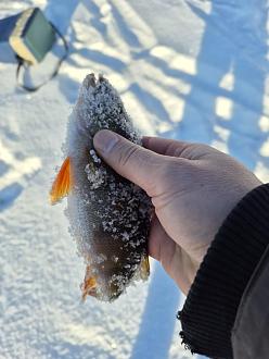 Нажмите на изображение для увеличения.

Название:	20260121_145114.jpg
Просмотров:	106
Размер:	250.3 Кб
ID:	4547036