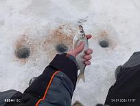 Нажмите на изображение для увеличения.  Название:	IMG_20260124_153730.jpg Просмотров:	0 Размер:	450.4 Кб ID:	4547310