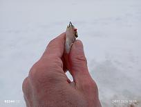 Нажмите на изображение для увеличения.  Название:	IMG_20260124_161050.jpg Просмотров:	0 Размер:	226.8 Кб ID:	4547312