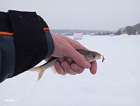 Нажмите на изображение для увеличения.  Название:	IMG_20260124_170910.jpg Просмотров:	0 Размер:	242.1 Кб ID:	4547313