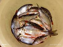 Нажмите на изображение для увеличения.  Название:	IMG_20260124_192647.jpg Просмотров:	0 Размер:	541.1 Кб ID:	4547314