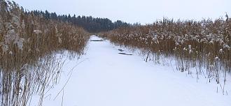 Нажмите на изображение для увеличения.

Название:	IMG_20260124_115032.jpg
Просмотров:	557
Размер:	505.9 Кб
ID:	4547347