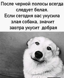 Нажмите на изображение для увеличения.

Название:	FB_IMG_1769322384220.jpg
Просмотров:	146
Размер:	148.6 Кб
ID:	4547351