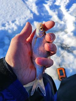 Нажмите на изображение для увеличения.  Название:	IMG_20260125_144019.jpg Просмотров:	0 Размер:	273.8 Кб ID:	4547427