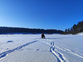 Нажмите на изображение для увеличения.  Название:	IMG_20260125_144024.jpg Просмотров:	0 Размер:	537.6 Кб ID:	4547428