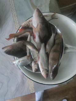 Нажмите на изображение для увеличения.

Название:	
Просмотров:	0
Размер:	226.5 Кб
ID:	4547476