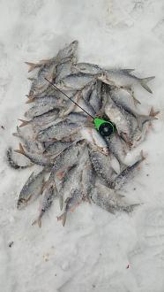 Нажмите на изображение для увеличения.

Название:	IMG_20260126_164034.jpg
Просмотров:	242
Размер:	257.8 Кб
ID:	4547524