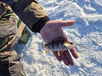 Нажмите на изображение для увеличения.

Название:	20260125_111342.jpg
Просмотров:	220
Размер:	488.0 Кб
ID:	4547546