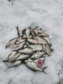 Нажмите на изображение для увеличения.  Название:	IMG_20260127_161918.jpg Просмотров:	0 Размер:	400.5 Кб ID:	4547574