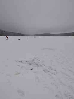 Нажмите на изображение для увеличения.  Название:	IMG_20260127_161908.jpg Просмотров:	0 Размер:	135.0 Кб ID:	4547575