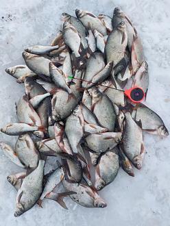 Нажмите на изображение для увеличения.

Название:	FB_IMG_1769621287941.jpg
Просмотров:	80
Размер:	390.5 Кб
ID:	4547654