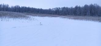 Нажмите на изображение для увеличения.

Название:	IMG_20260129_110555.jpg
Просмотров:	139
Размер:	414.4 Кб
ID:	4547724