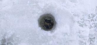 Нажмите на изображение для увеличения.

Название:	IMG_20260129_121508.jpg
Просмотров:	136
Размер:	390.7 Кб
ID:	4547725