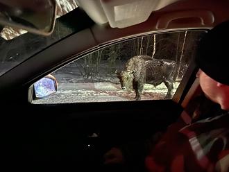 Нажмите на изображение для увеличения.

Название:	20260130_093324.jpg
Просмотров:	55
Размер:	251.0 Кб
ID:	4547746