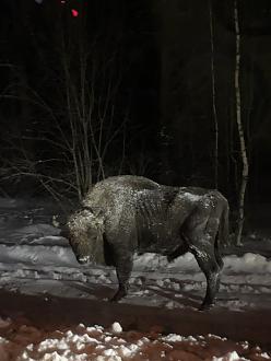 Нажмите на изображение для увеличения.

Название:	20260130_101015.jpg
Просмотров:	61
Размер:	256.8 Кб
ID:	4547745