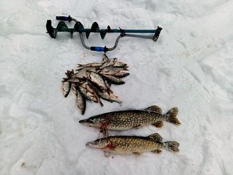 Нажмите на изображение для увеличения.  Название:	IMG_20260128_162001_648.jpg Просмотров:	25 Размер:	140.5 Кб ID:	4547764