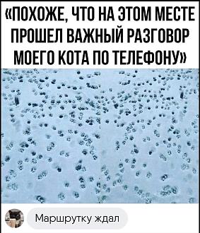 Нажмите на изображение для увеличения.

Название:	FB_IMG_1769780043837.jpg
Просмотров:	286
Размер:	197.9 Кб
ID:	4547787