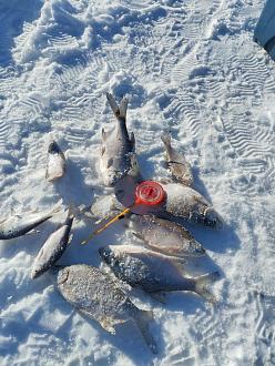 Нажмите на изображение для увеличения.  Название:	IMG_20260130_141825.jpg Просмотров:	137 Размер:	521.4 Кб ID:	4547790