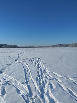 Нажмите на изображение для увеличения.  Название:	IMG_20260130_142835.jpg Просмотров:	126 Размер:	373.2 Кб ID:	4547791