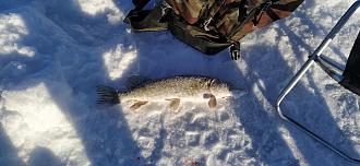 Нажмите на изображение для увеличения.

Название:	IMG_20260131_104723.jpg
Просмотров:	123
Размер:	465.7 Кб
ID:	4547881