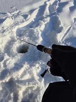 Нажмите на изображение для увеличения.

Название:	20260201_161211.jpg
Просмотров:	598
Размер:	342.5 Кб
ID:	4547925