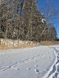 Нажмите на изображение для увеличения.

Название:	20260201_161215.jpg
Просмотров:	611
Размер:	609.0 Кб
ID:	4547926