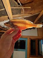 Нажмите на изображение для увеличения.  Название:	IMG-b50f07e62c6f55caa99b18c917bba0d0-V.jpg Просмотров:	0 Размер:	235.3 Кб ID:	4548042