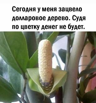 Нажмите на изображение для увеличения.

Название:	FB_IMG_1770129435772.jpg
Просмотров:	65
Размер:	168.8 Кб
ID:	4548110