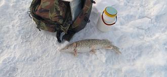 Нажмите на изображение для увеличения.

Название:	IMG_20260204_091656.jpg
Просмотров:	254
Размер:	427.4 Кб
ID:	4548206