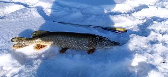 Нажмите на изображение для увеличения.

Название:	IMG_20260204_121647.jpg
Просмотров:	162
Размер:	429.7 Кб
ID:	4548207