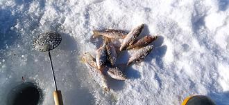 Нажмите на изображение для увеличения.

Название:	IMG_20260204_151840.jpg
Просмотров:	175
Размер:	474.6 Кб
ID:	4548208