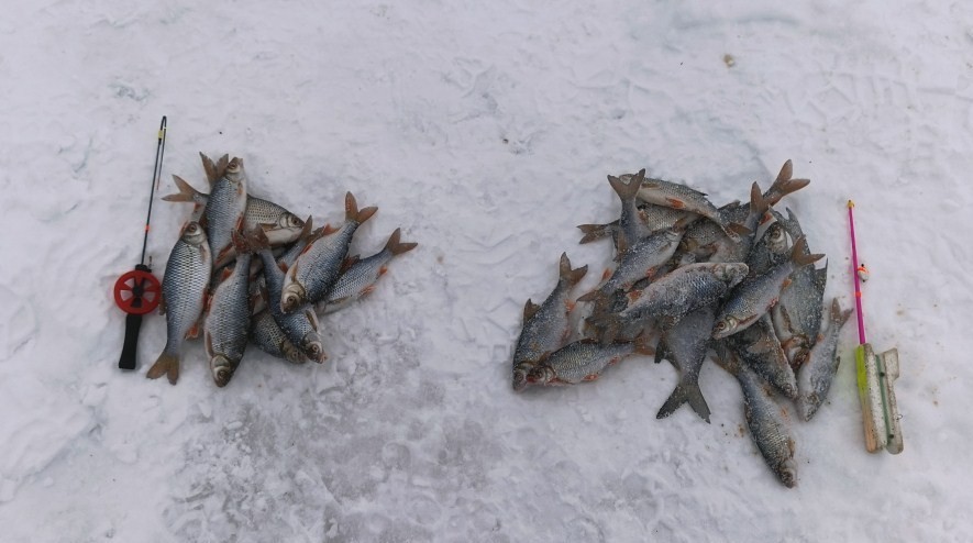 Нажмите на изображение для увеличения.  Название:	IMG_20260205_161342_119~2.jpg Просмотров:	0 Размер:	86.3 Кб ID:	4548246