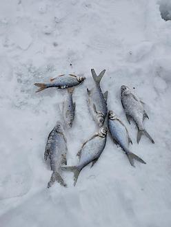 Нажмите на изображение для увеличения.

Название:	IMG_20260206_143030.jpg
Просмотров:	77
Размер:	301.6 Кб
ID:	4548291