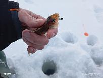 Нажмите на изображение для увеличения.  Название:	IMG_20260207_162931.jpg Просмотров:	0 Размер:	277.8 Кб ID:	4548369