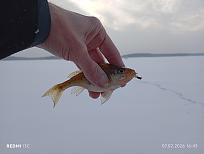 Нажмите на изображение для увеличения.  Название:	IMG_20260207_164342.jpg Просмотров:	0 Размер:	261.7 Кб ID:	4548370