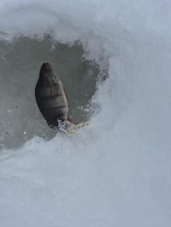 Нажмите на изображение для увеличения.

Название:	20260208_142014.jpg
Просмотров:	855
Размер:	160.1 Кб
ID:	4548464