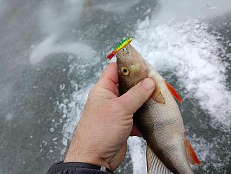 Нажмите на изображение для увеличения.

Название:	IMG20260208110824.jpg
Просмотров:	166
Размер:	420.9 Кб
ID:	4548476