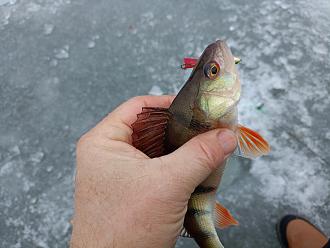 Нажмите на изображение для увеличения.

Название:	IMG20260208093636.jpg
Просмотров:	160
Размер:	311.4 Кб
ID:	4548478