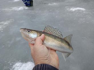 Нажмите на изображение для увеличения.

Название:	IMG20260207145331.jpg
Просмотров:	159
Размер:	331.7 Кб
ID:	4548480
