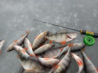 Нажмите на изображение для увеличения.

Название:	IMG20260207134140.jpg
Просмотров:	166
Размер:	460.0 Кб
ID:	4548482