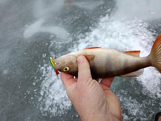 Нажмите на изображение для увеличения.

Название:	IMG20260208110821.jpg
Просмотров:	161
Размер:	412.8 Кб
ID:	4548481