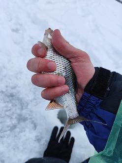 Нажмите на изображение для увеличения.

Название:	IMG_20260208_175107.jpg
Просмотров:	75
Размер:	254.0 Кб
ID:	4548508