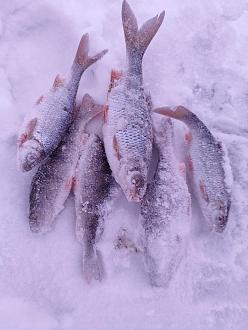 Нажмите на изображение для увеличения.

Название:	IMG_20260208_182310.jpg
Просмотров:	73
Размер:	327.2 Кб
ID:	4548509