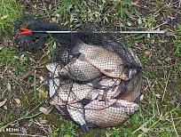 Нажмите на изображение для увеличения.  Название:	IMG-cf8d7b8e1c72c4d9708821c413938c9b-V.jpg Просмотров:	0 Размер:	747.0 Кб ID:	4548563