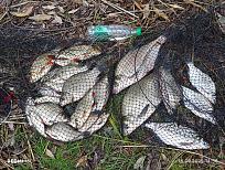 Нажмите на изображение для увеличения.  Название:	IMG-d0d6c9ed83cbecb6880002463776d578-V.jpg Просмотров:	0 Размер:	757.6 Кб ID:	4548564