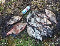 Нажмите на изображение для увеличения.  Название:	IMG-73069e7d2a2462904d1f6a378049a74d-V.jpg Просмотров:	0 Размер:	765.0 Кб ID:	4548565