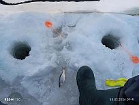 Нажмите на изображение для увеличения.  Название:	IMG_20260208_094143.jpg Просмотров:	0 Размер:	401.5 Кб ID:	4548570