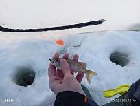 Нажмите на изображение для увеличения.  Название:	IMG_20260208_101644.jpg Просмотров:	0 Размер:	283.7 Кб ID:	4548572