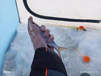 Нажмите на изображение для увеличения.  Название:	IMG_20260208_141329.jpg Просмотров:	0 Размер:	348.4 Кб ID:	4548575